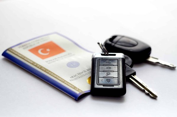 Quels sont les types de cartes grises qui sont disponibles en France ?